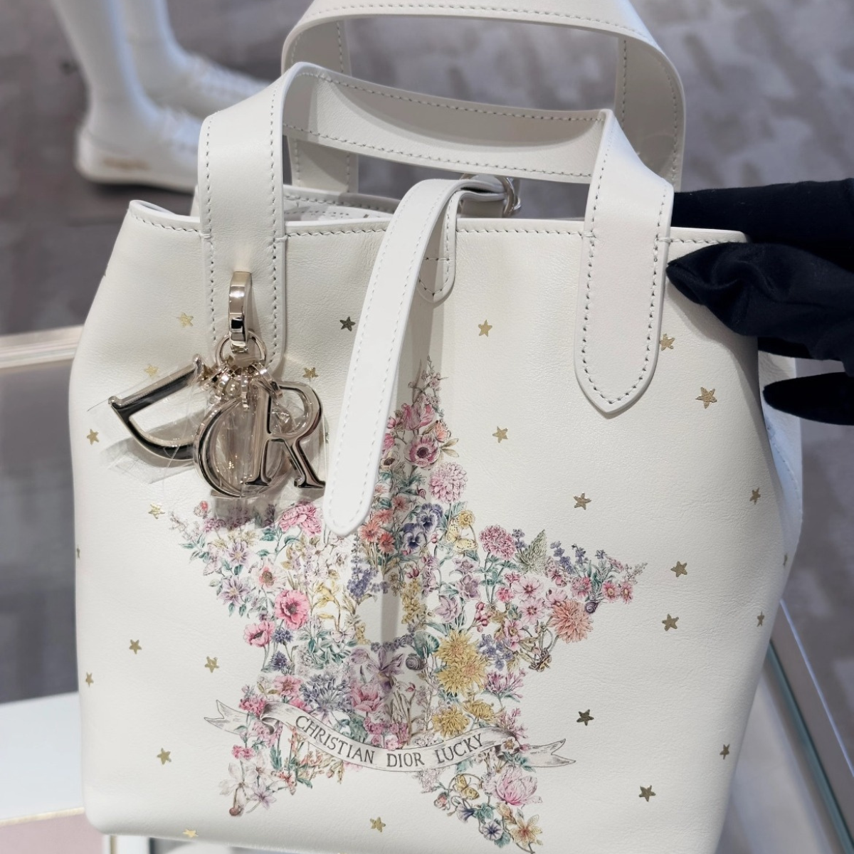 VERTICAL SMALL DIOR LUCKY DIOR TOUJOURS TOTE BAG