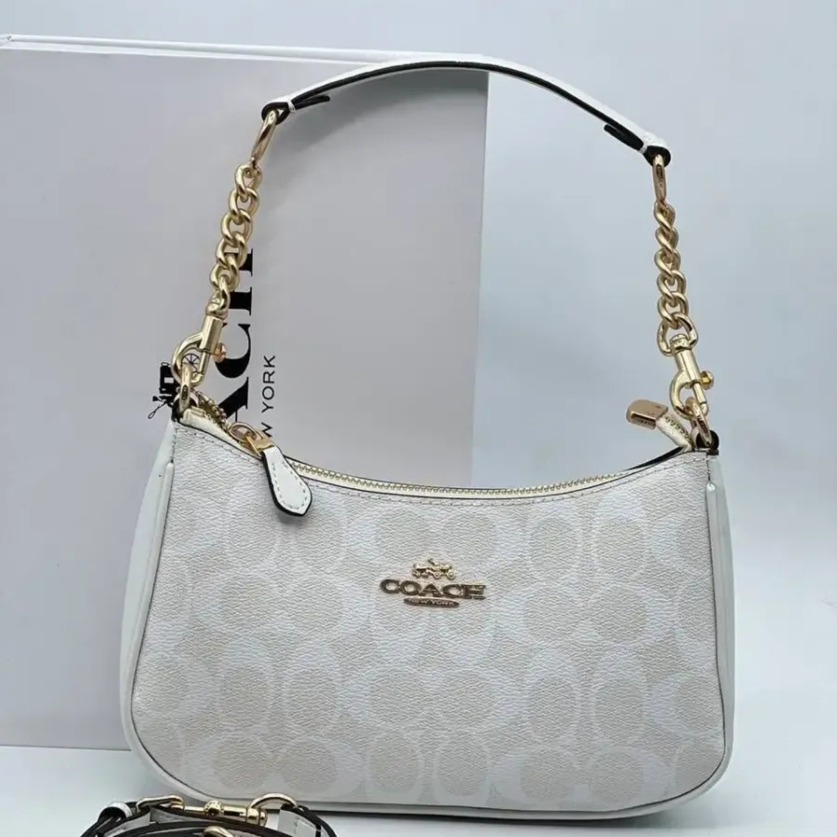 COACH TERI SIGNATURE CANVAS BAG